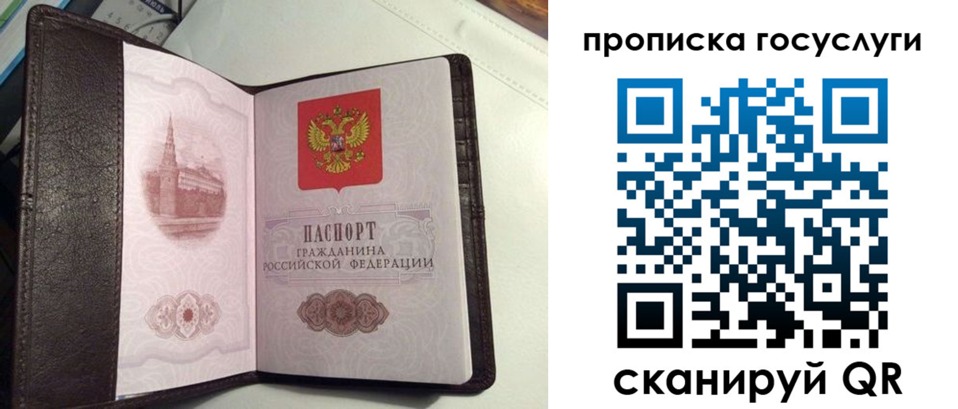 временная прописка в Данкове